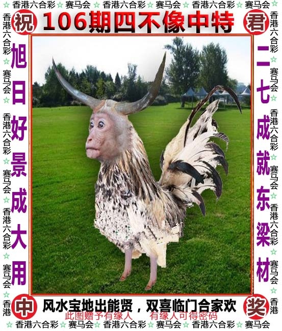 澳门4949图库免费的资料港澳,效能解答解释落实_游戏版121，127.12