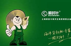 内部三肖三码必中特,最新热门解析实施_精英版121，127.13