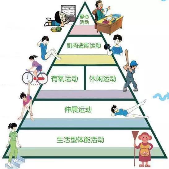 科学的体育运动,最新热门解析实施_精英版121，127.13