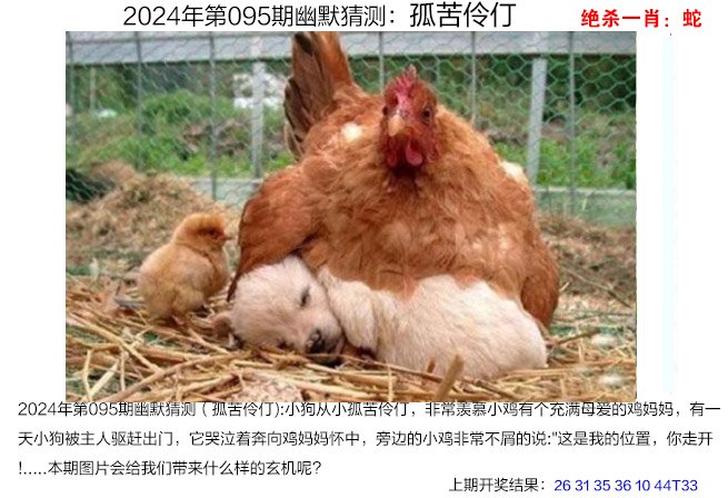 澳门管家婆2024资料精准大全,数据解释落实_整合版121，127.13