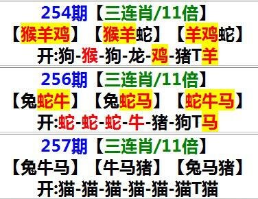 澳门三肖三码三期期必出,最新答案动态解析_vip2121，127.13
