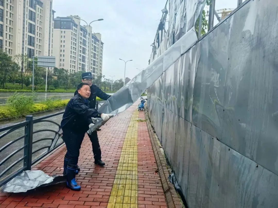 台风逼近城管系统排查隐患,数据解释落实_整合版121，127.13
