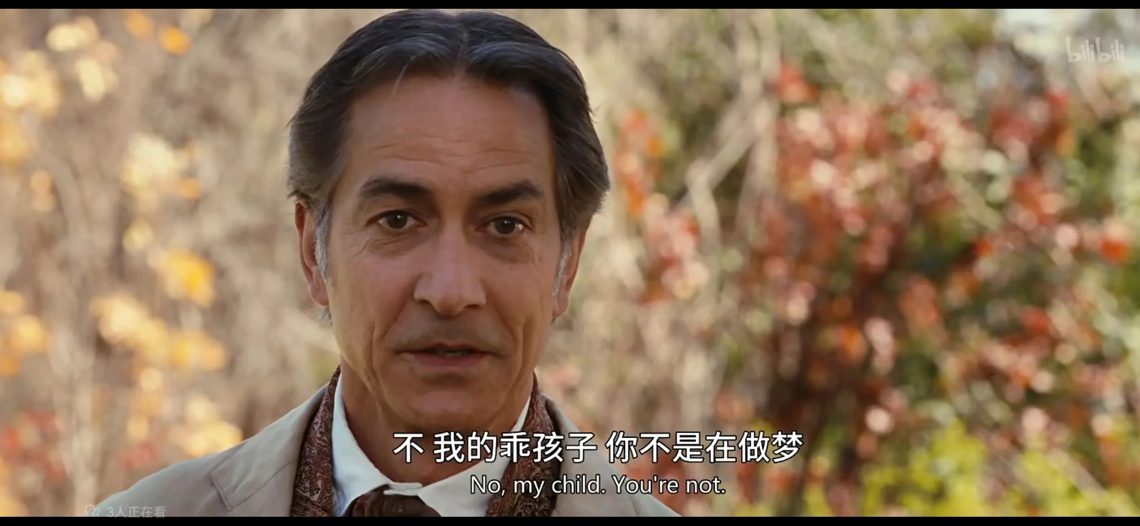 奇幻精灵事件簿,资深解答解释落实_特别款72.21127.13.