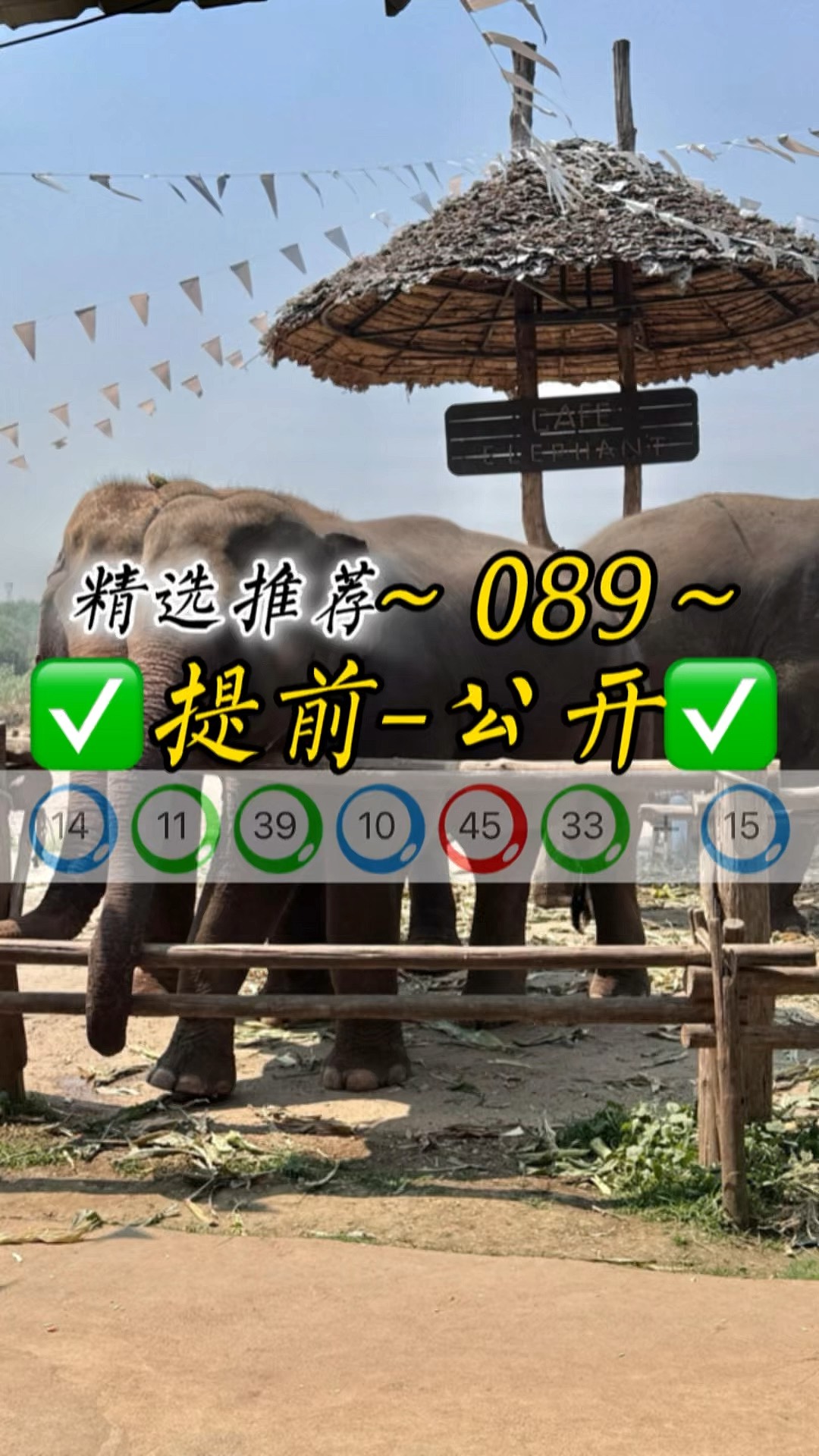 新澳门今晚开什么特马,准确答案解释落实_3DM4121，127.13