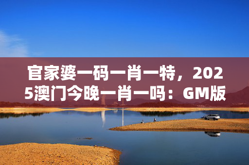 澳门一码一肖一特一中今晚,准确答案解释落实_3DM4121，127.13