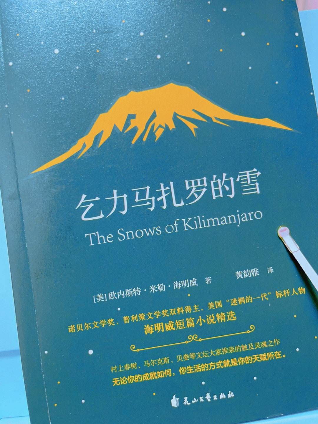 乞力马扎罗的雪,数据整合方案实施_投资版121，127.13
