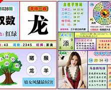 2024年新澳门网站资料