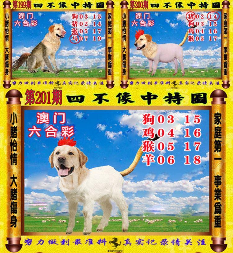 澳门今晚上开什么特马