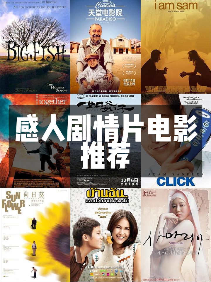 888影视网剧情篇高清,最新答案动态解析_vip2121，127.13