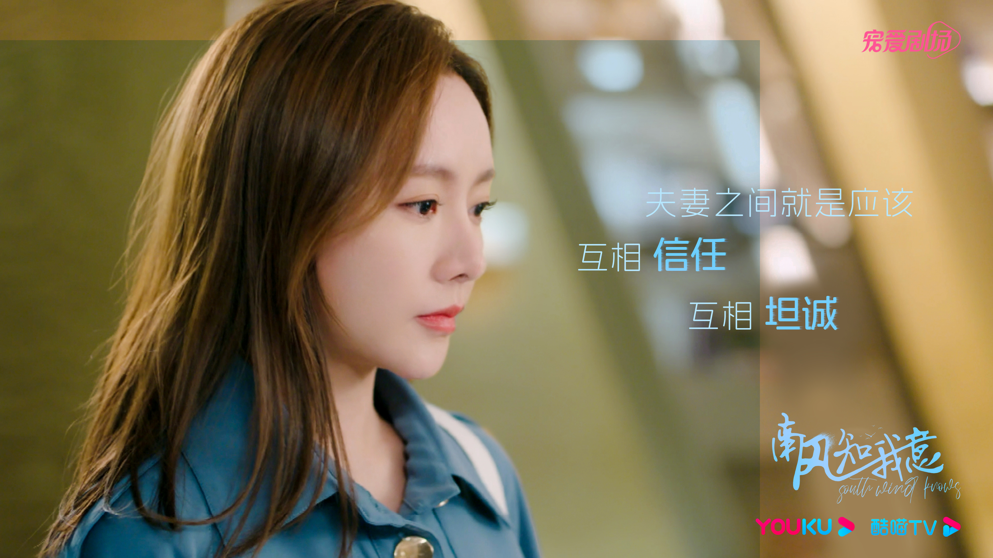 南风知我意电视剧免费观看星辰影院