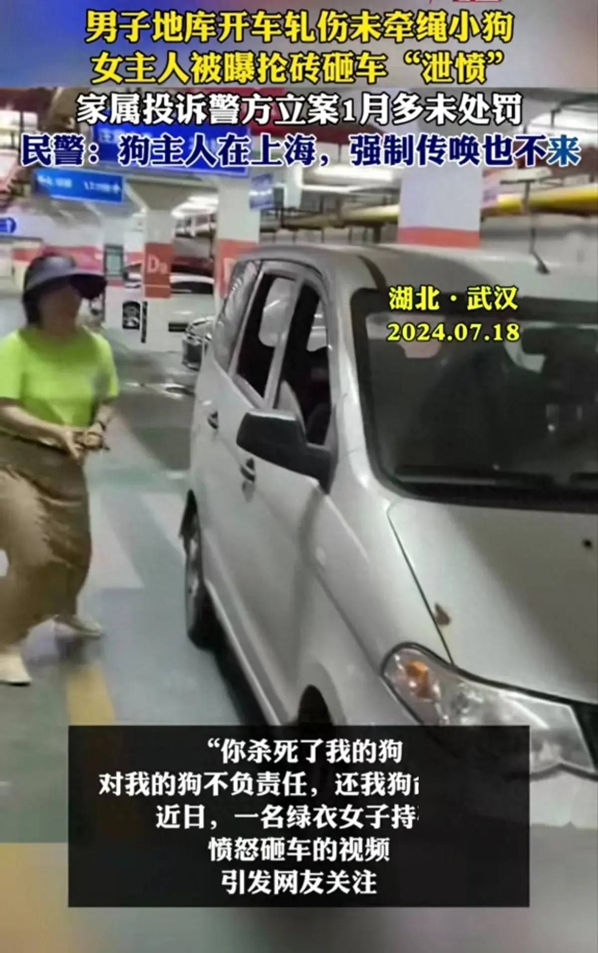 一女子因狗窜入车底受伤砸车,最新答案动态解析_vip2121，127.13