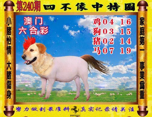 澳门一肖码100%准,最新答案动态解析_vip2121，127.13