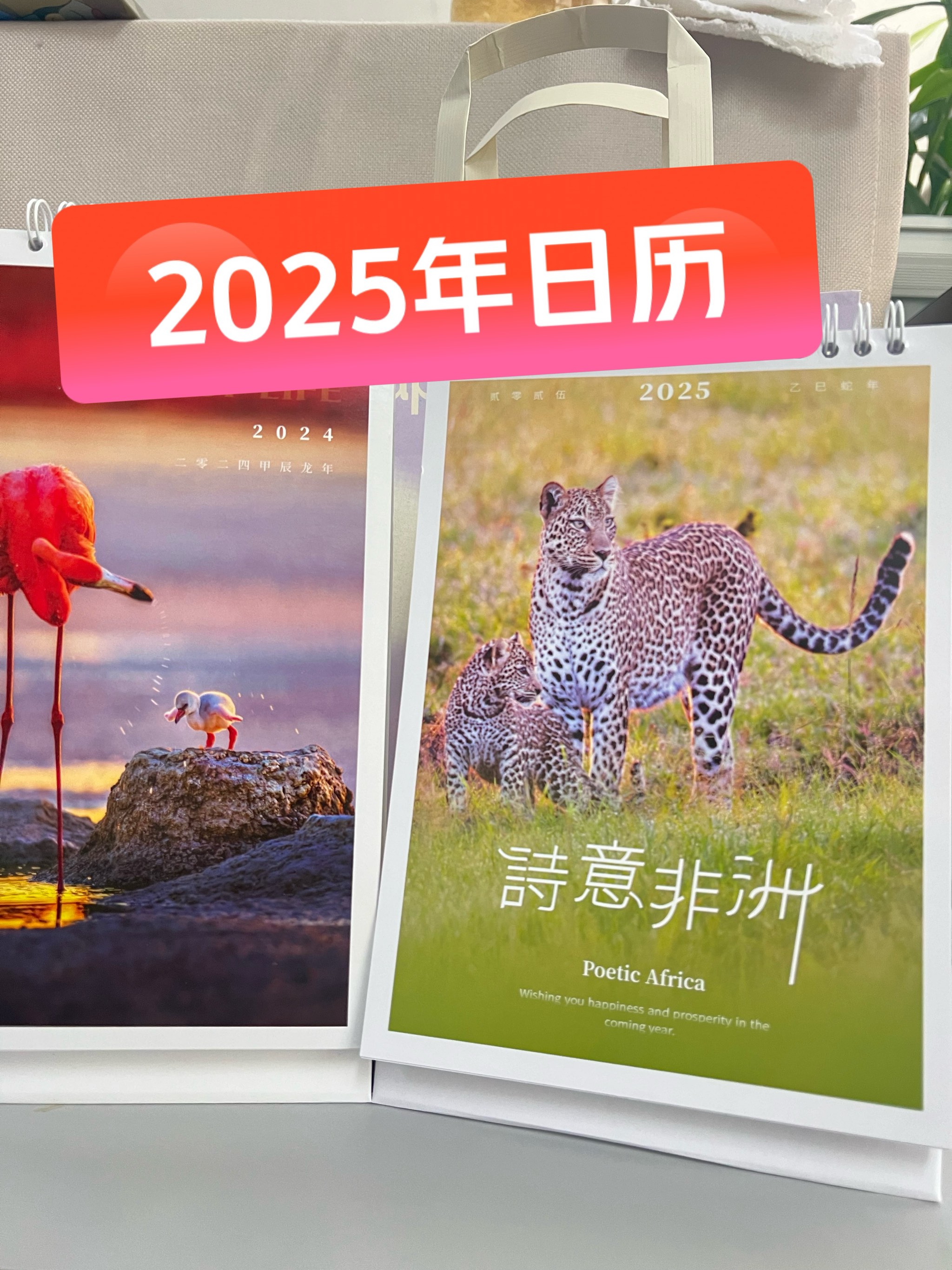 新奥最精准免费大全2025年,最新答案动态解析_vip2121，127.13