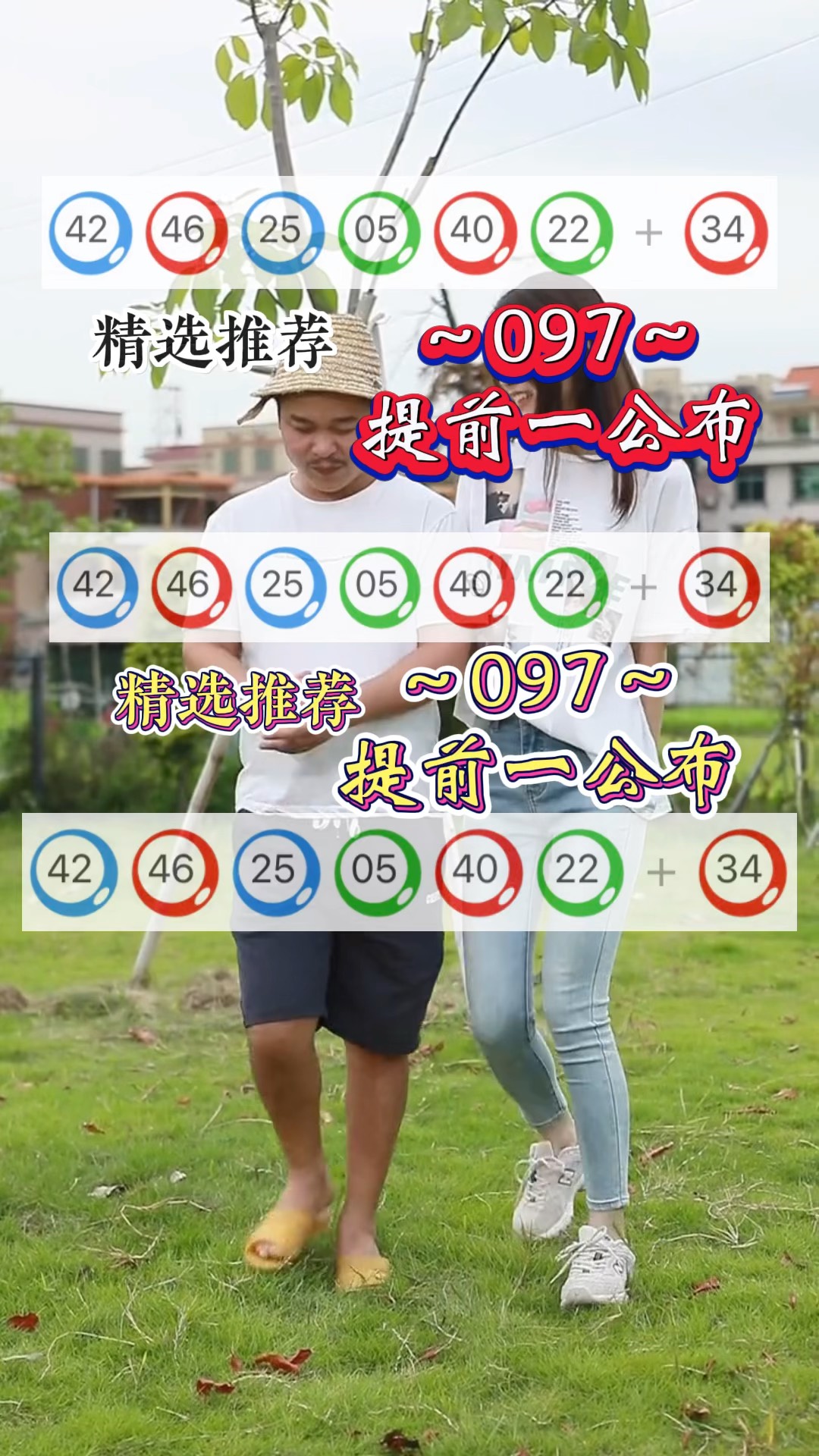今晚新奥九点半出什么生肖,效能解答解释落实_游戏版121，127.12