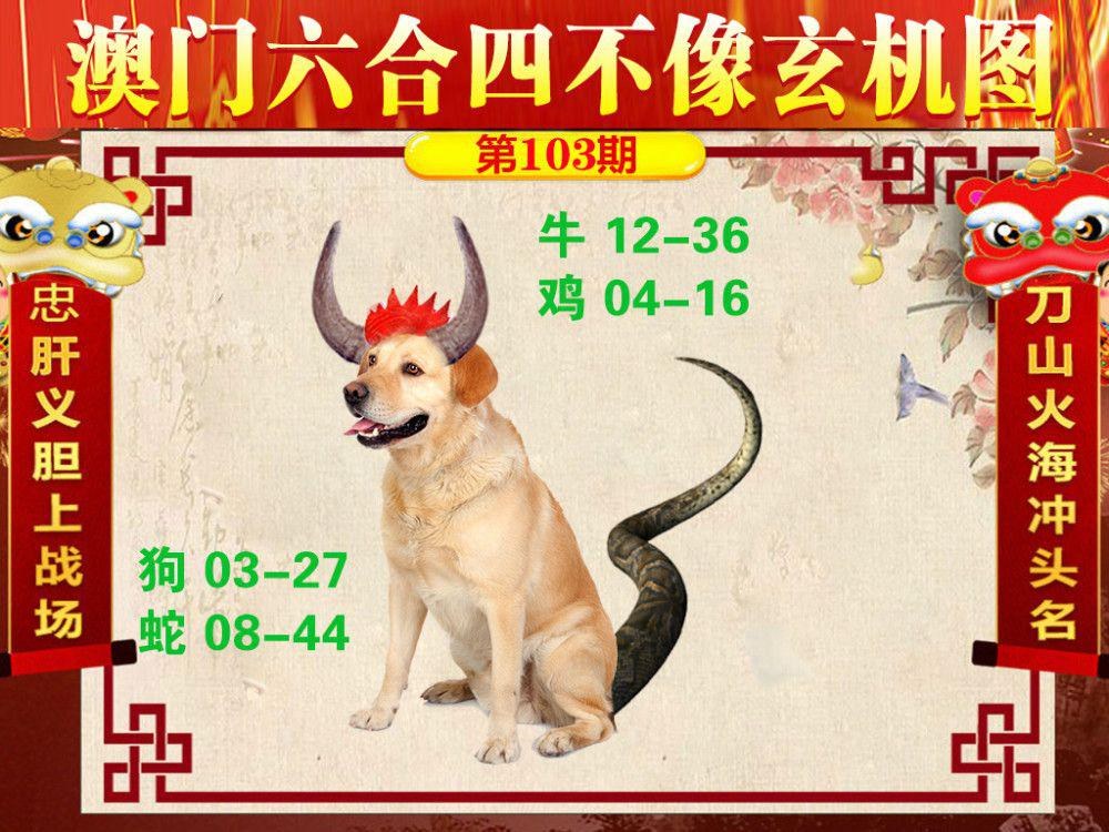 2024澳门精准正板资料大全,豪华精英版79.26.45-江GO121，127.13