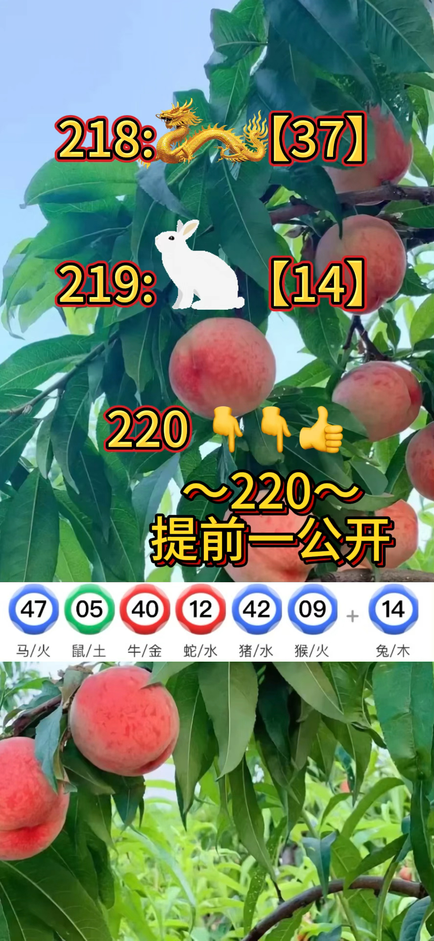 澳门2023资料库澳门资料大全,最新答案动态解析_vip2121，127.13
