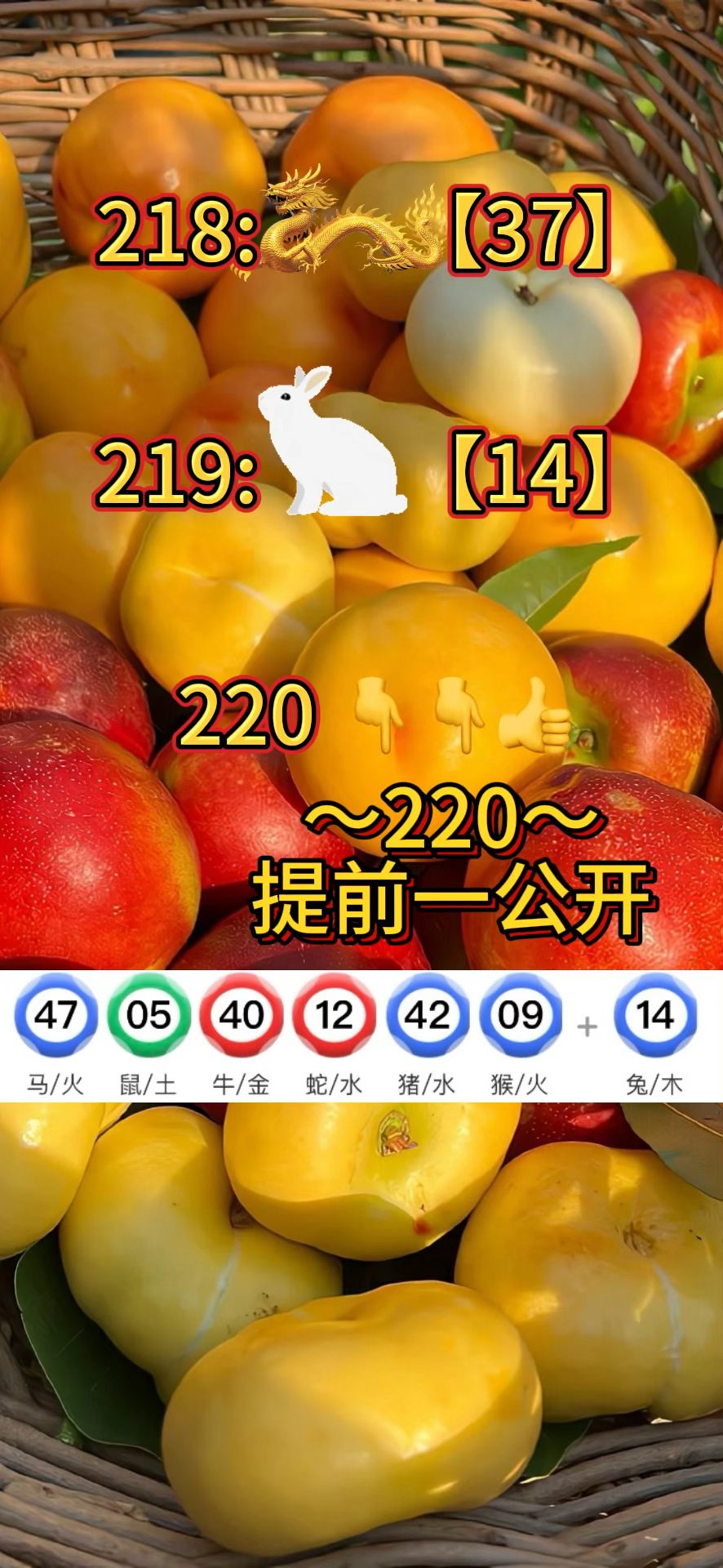 新澳门今晚开奖结果开奖记录查询表下载,数据解释落实_整合版121，127.13
