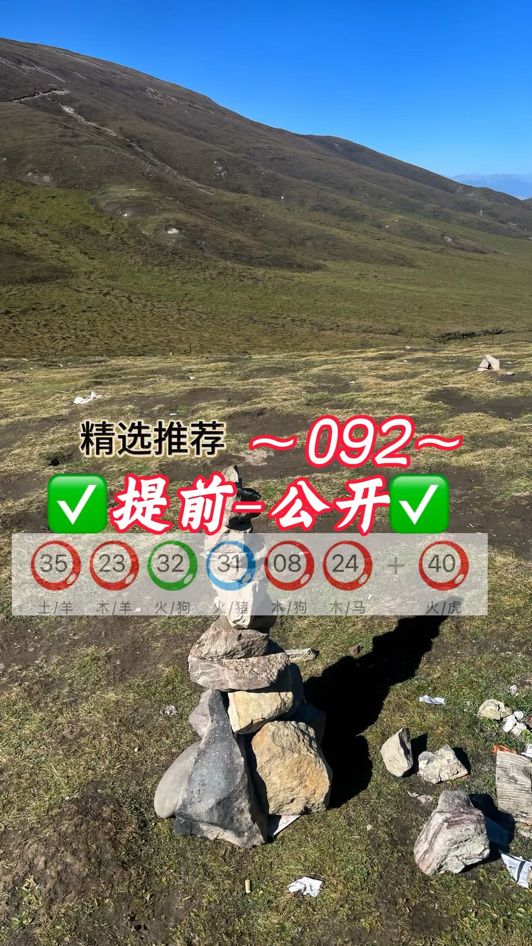 澳门九点半开奖记录查询结果,数据解释落实_整合版121，127.13