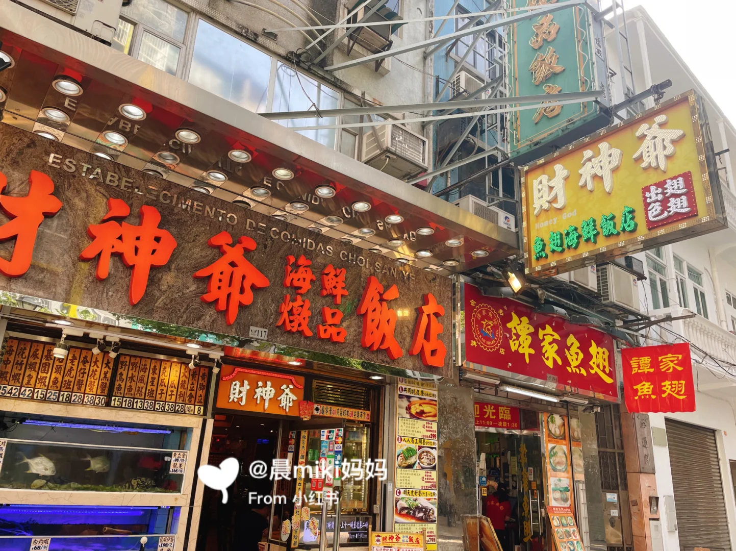 澳门财神王,准确答案解释落实_3DM4121，127.13