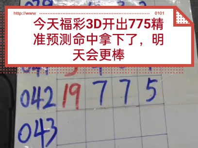 今日精准预测最准确,数据解释落实_整合版121，127.13