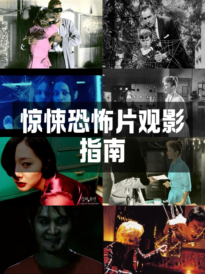 电影恐怖片排行榜前十名,资深解答解释落实_特别款72.21127.13.