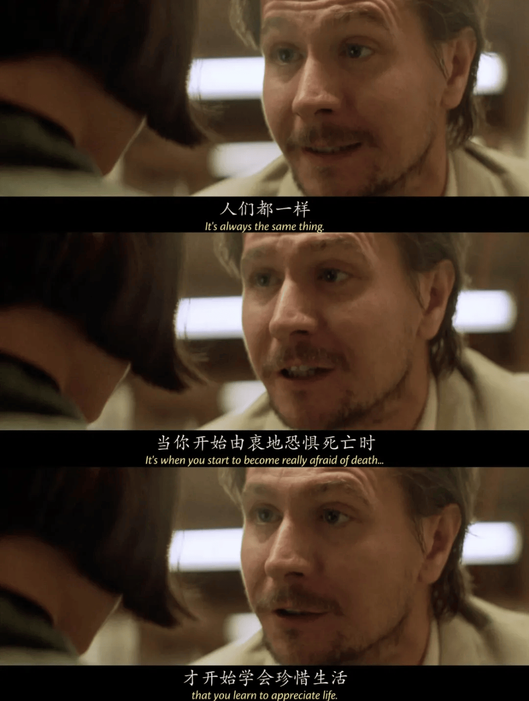 电影网这个杀手不太冷静,效能解答解释落实_游戏版121，127.12