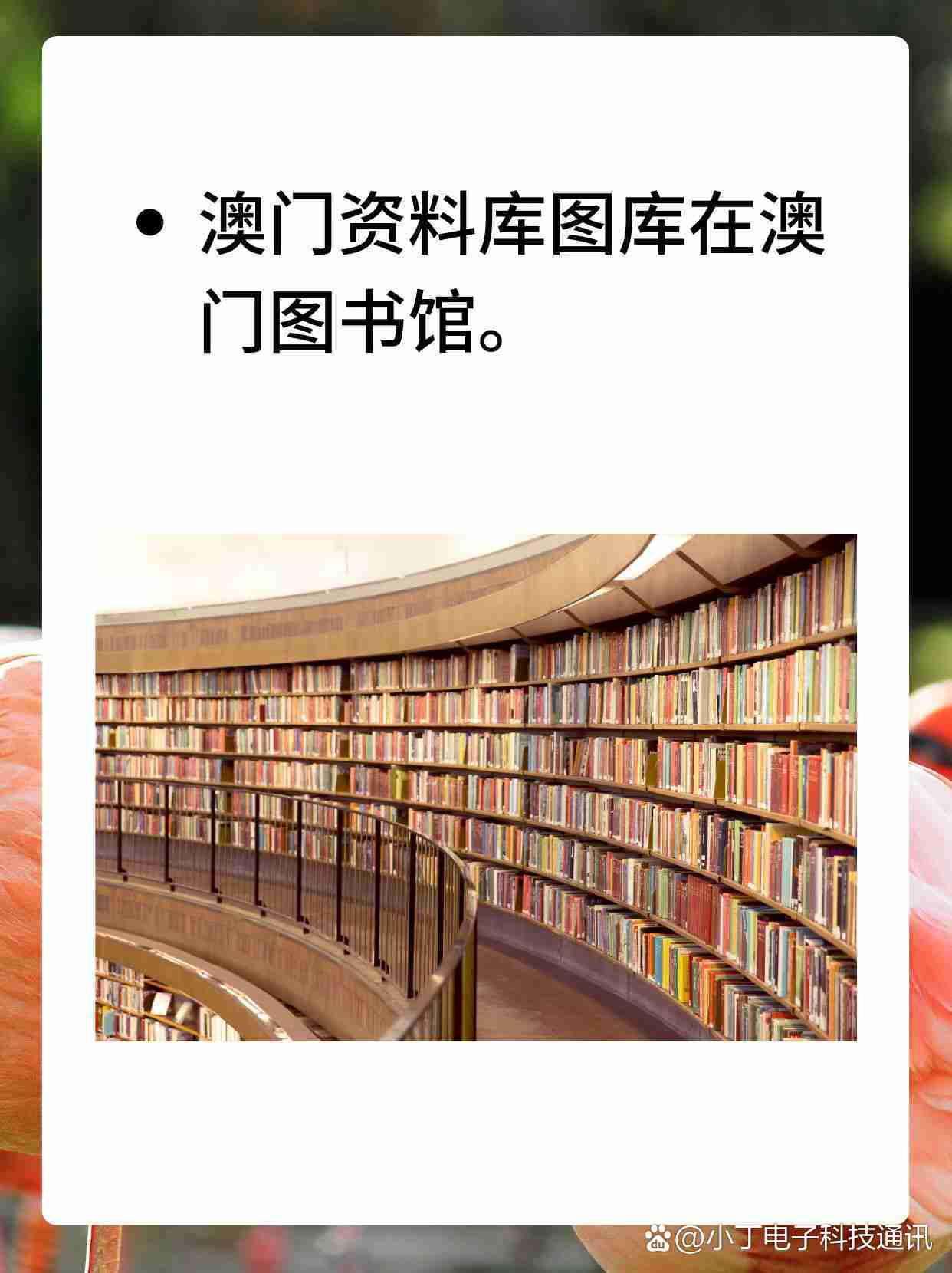 澳门资料库48kccm澳全新必开特色,最新答案动态解析_vip2121，127.13
