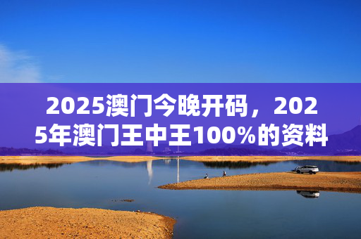 澳门王中王100资料52期,最新答案动态解析_vip2121，127.13