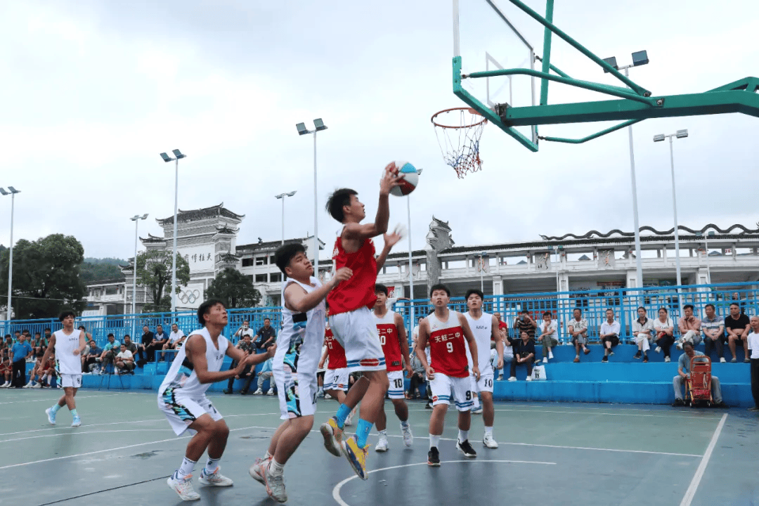 参加运动比赛,数据解释落实_整合版121，127.13