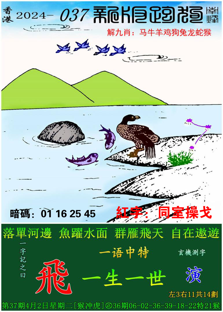 九龙网精选资料一肖一码,准确答案解释落实_3DM4121，127.13