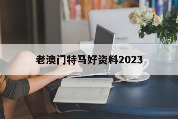 老澳门特马好资料2023,最新热门解析实施_精英版121，127.13