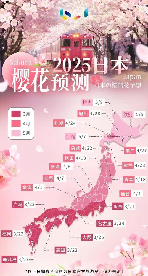2025年6月3日 第13页