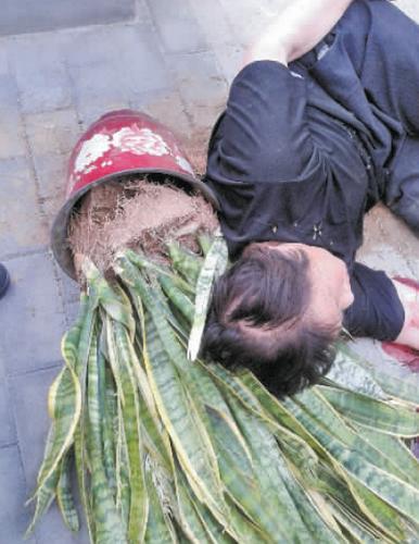 2025新澳门天天开奖免费和天降花盆砸路人脚边与花盆坠落将人砸死