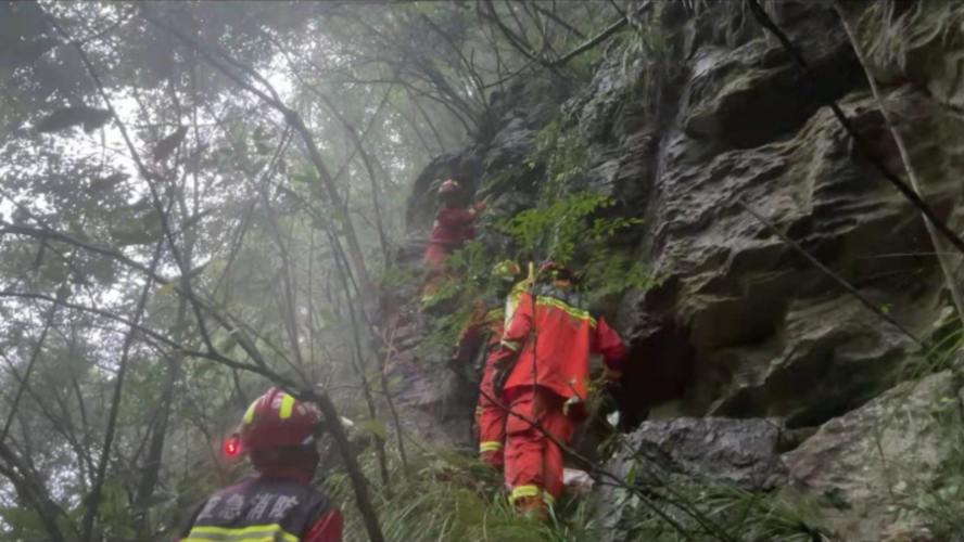 免费资料-资料大全和教授雨夜爬山坠崖与教授雨夜爬山坠崖的故事