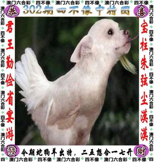 新澳2025今晚特马开奖号码和山丘形状酷似嘴唇与山丘形状酷似嘴唇的动物